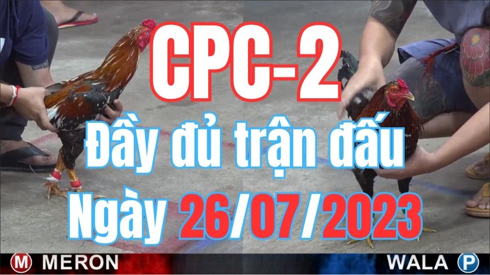 Đá gà thomo CPC2 26-07-2023