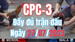 Đá gà thomo CPC3 27-07-2023