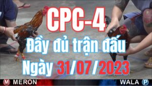 Đá gà thomo CPC4 31-07-2023