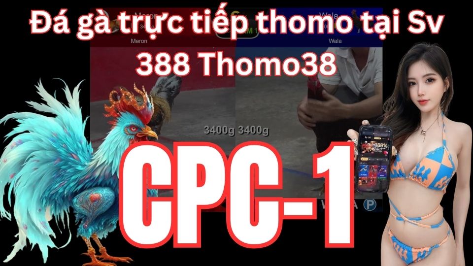 Đá ga thomo CPC 1 trực tiếp hôm nay