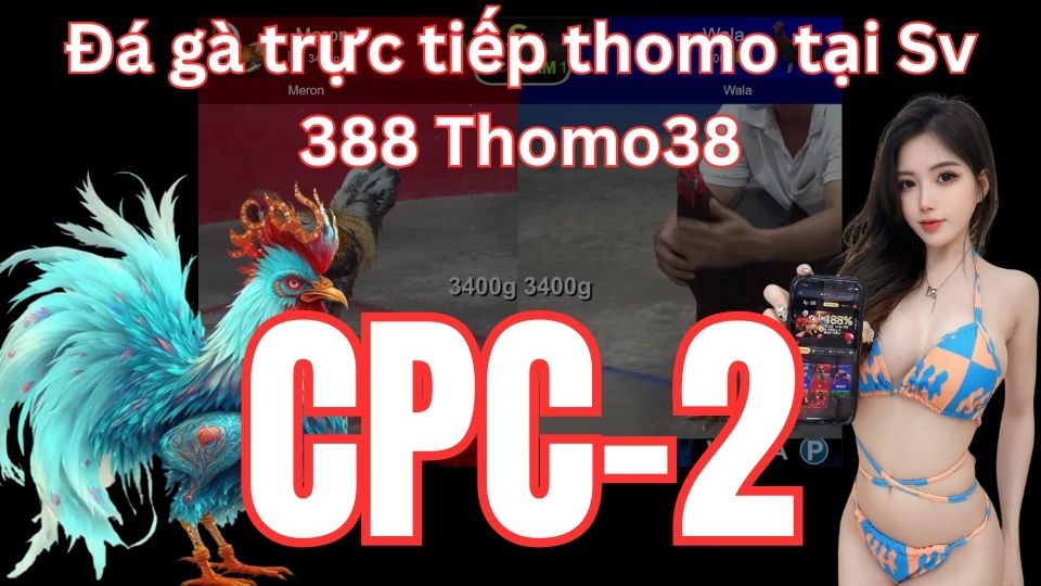 Đá gà thomo trực tiếp CPC2 hôm nay