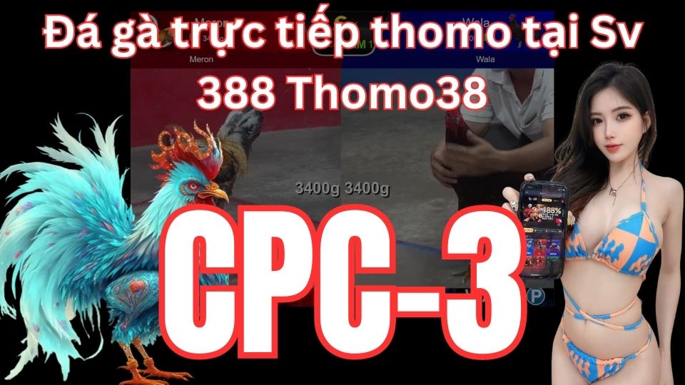 Đá gà trực tiếp hôm nay Cpc3