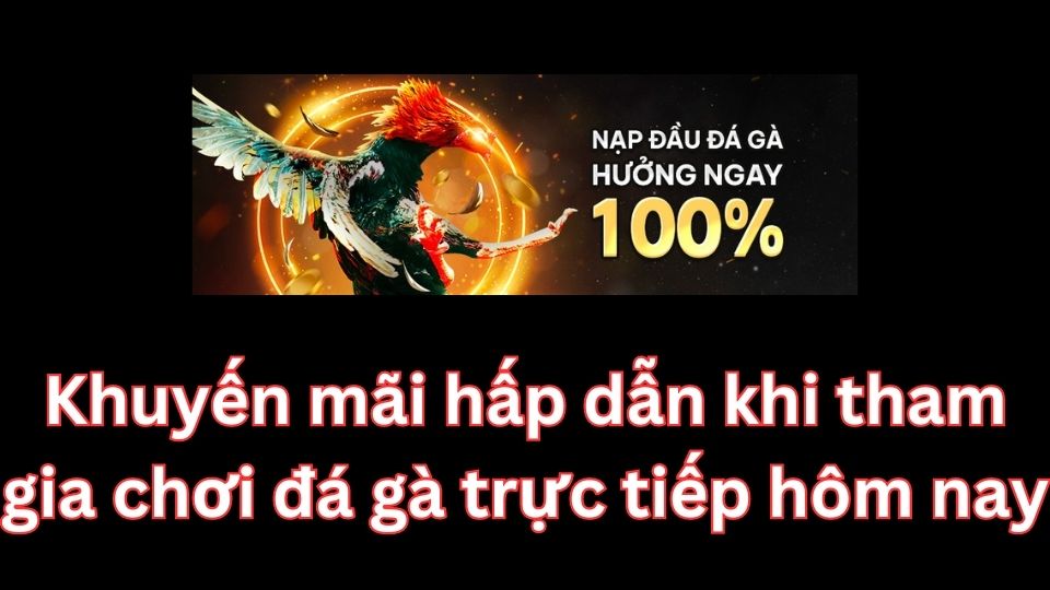 Khuyến mãi người chơi đá gà trực tiếp hôm nay cực hấp dẫn