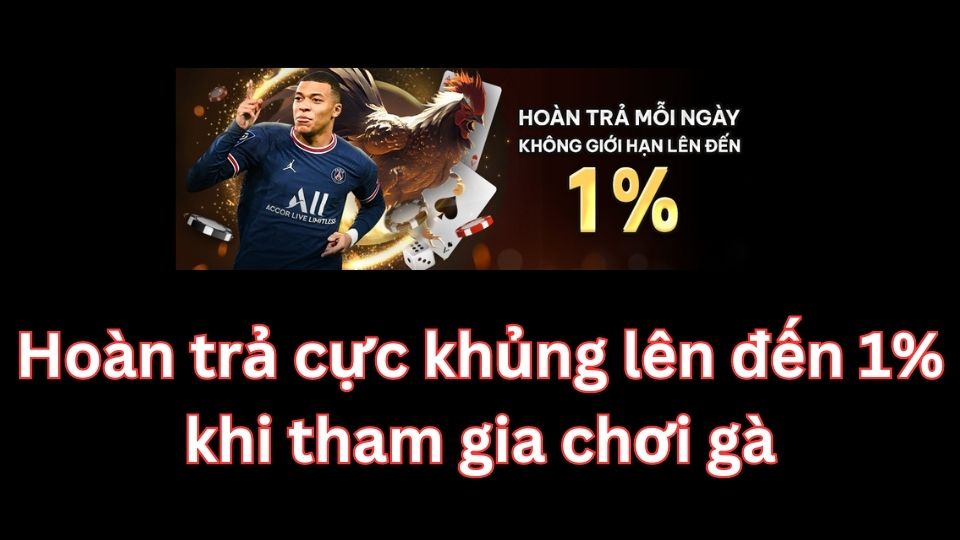 Hoàn trả tiền cược hấp dẫn khi chơi đá gà tại Sv 388 Thomo38