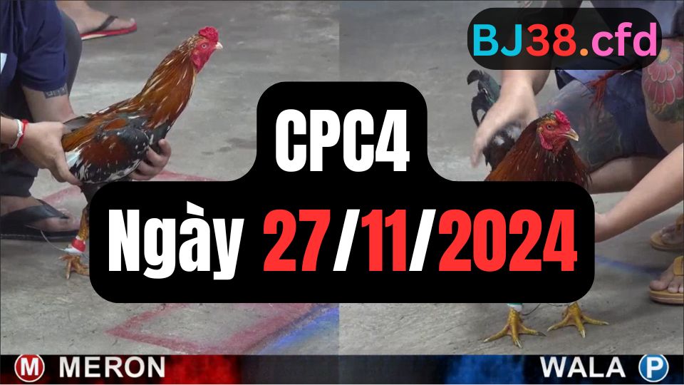 Đá gà thomo | CPC4 | 27/11/2024